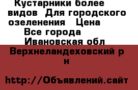 Кустарники более 100 видов. Для городского озеленения › Цена ­ 70 - Все города  »    . Ивановская обл.,Верхнеландеховский р-н